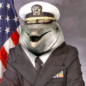 Meet your Posher, Dylan